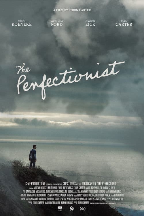 The Perfectionist