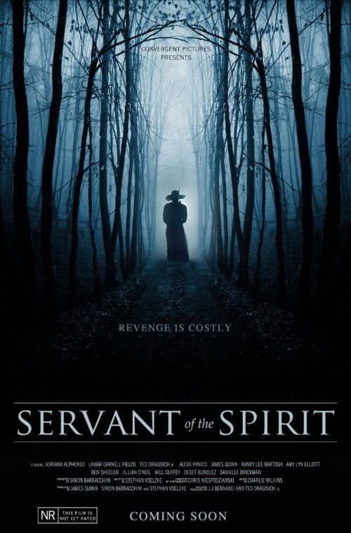 Servant of the Spirit
