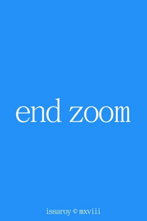 End Zoom