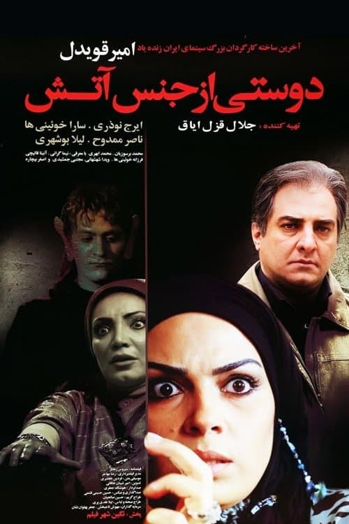 A Friend Made of Fire