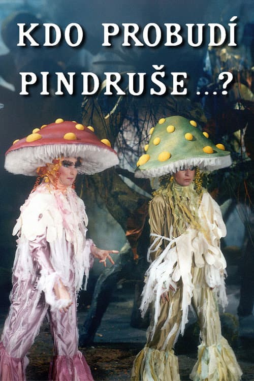 Kdo probudí Pindruše...?