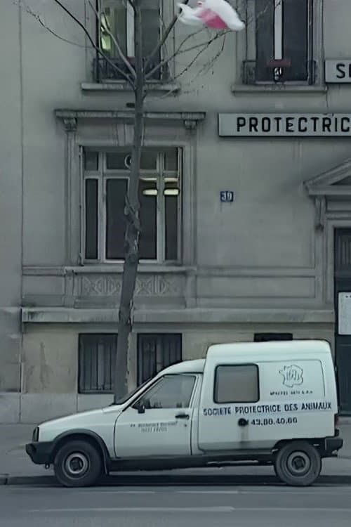 We Are All Cockroaches