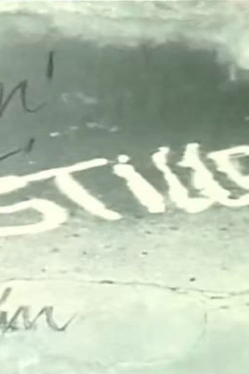 "Kino 81" - Stillness, a film magazine by film critics