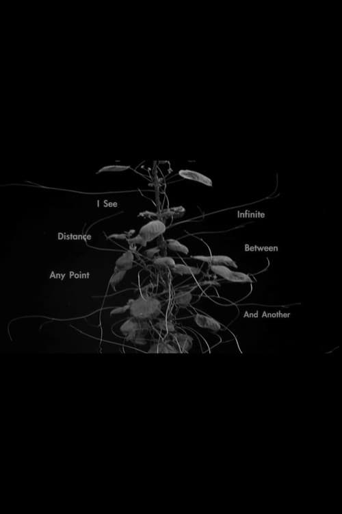 I See Infinite Distance Between Any Point and Another