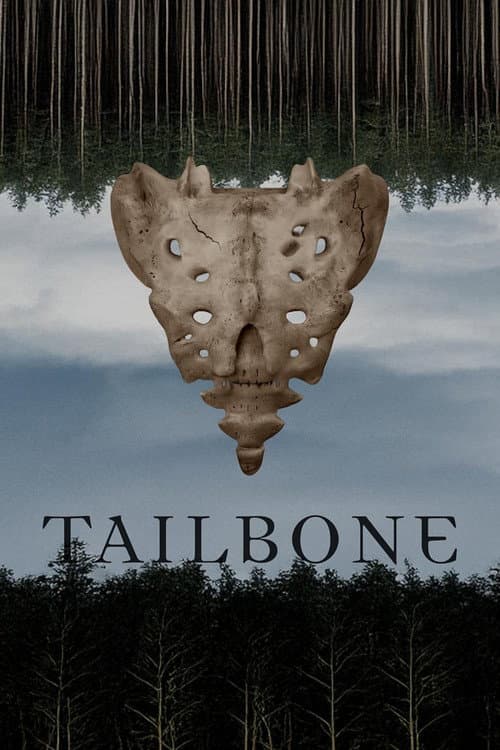 Tailbone