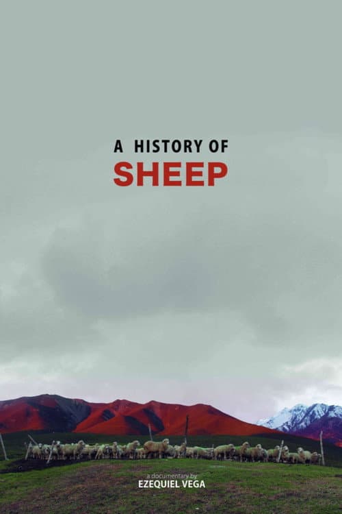 A History Of Sheep