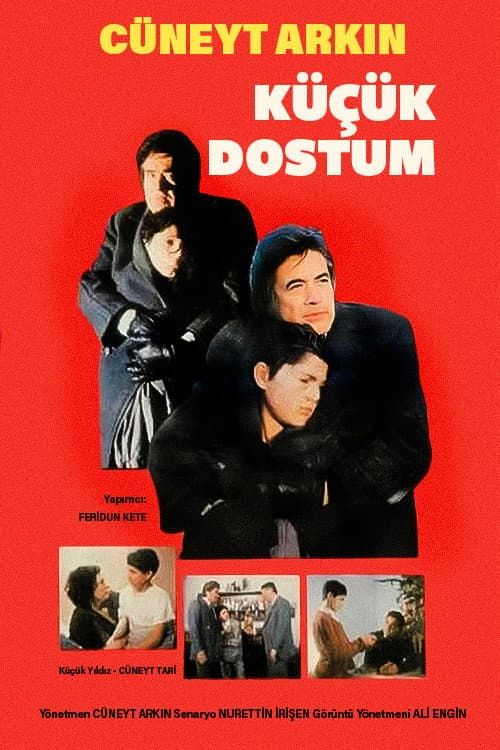 Küçük Dostum