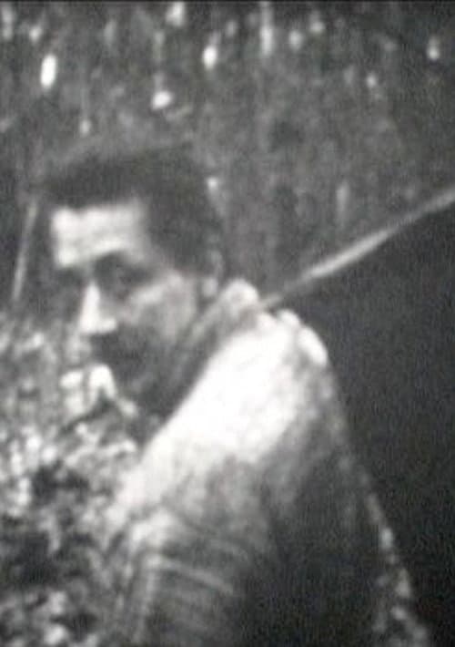 Kormányeltörésben