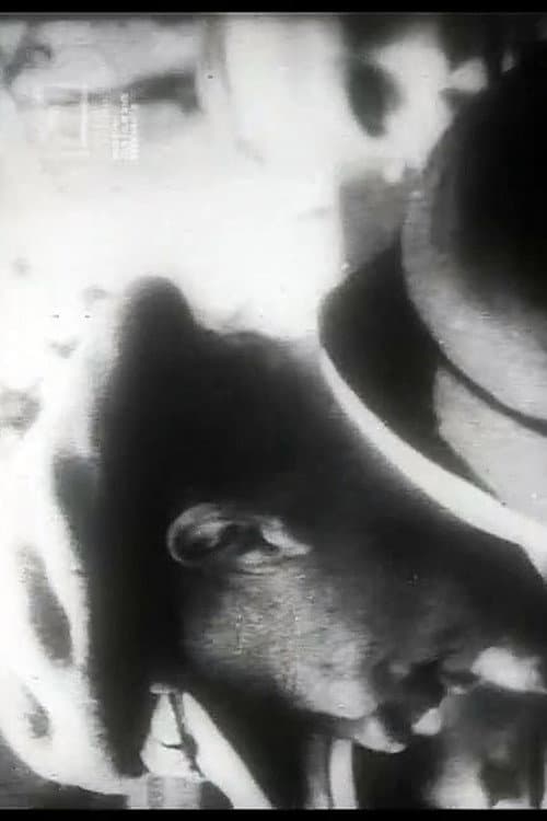 Uns mahnt ein November