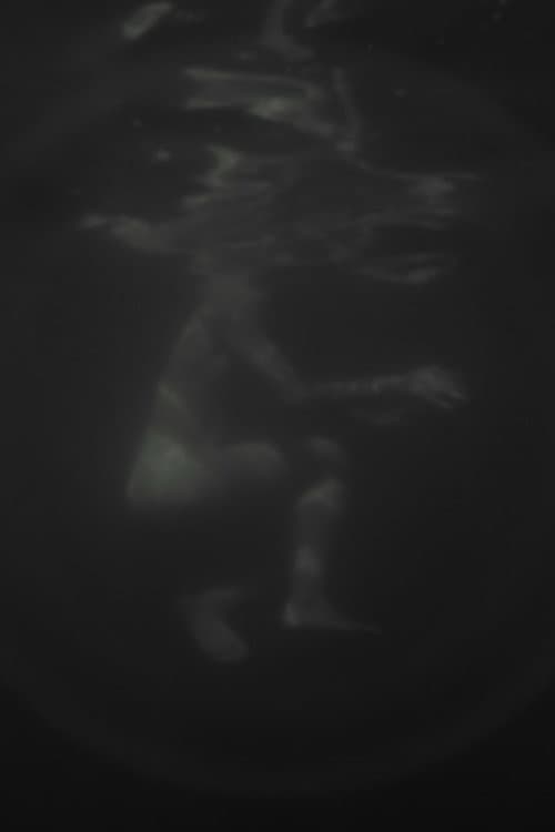 Hazug disznók az álmok is