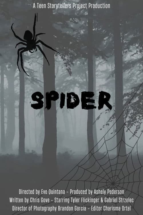 Spider