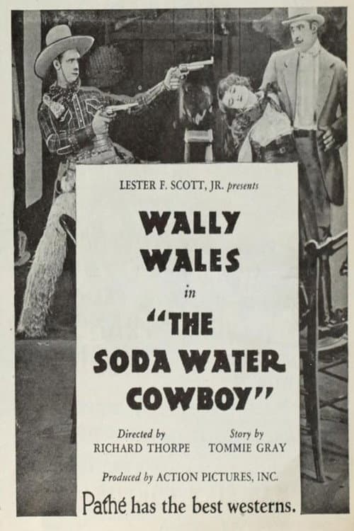 The Soda Water Cowboy