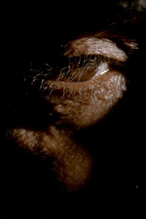 Debil Debil Baldwin Spencer