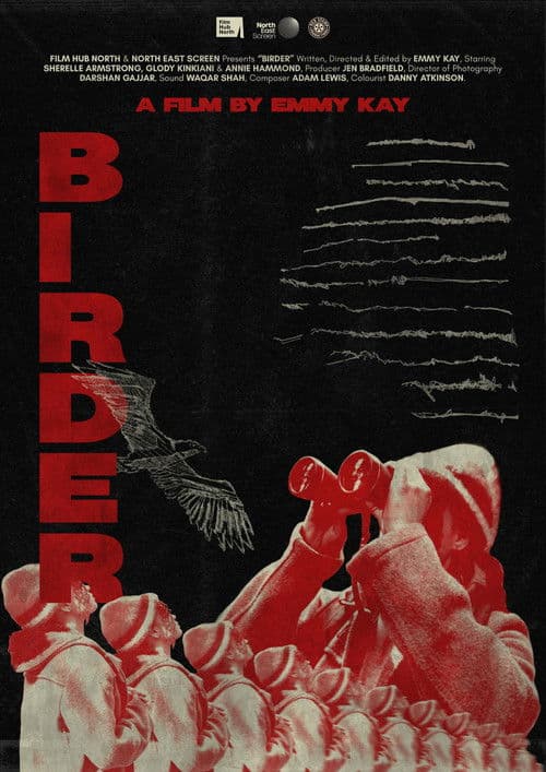 Birder