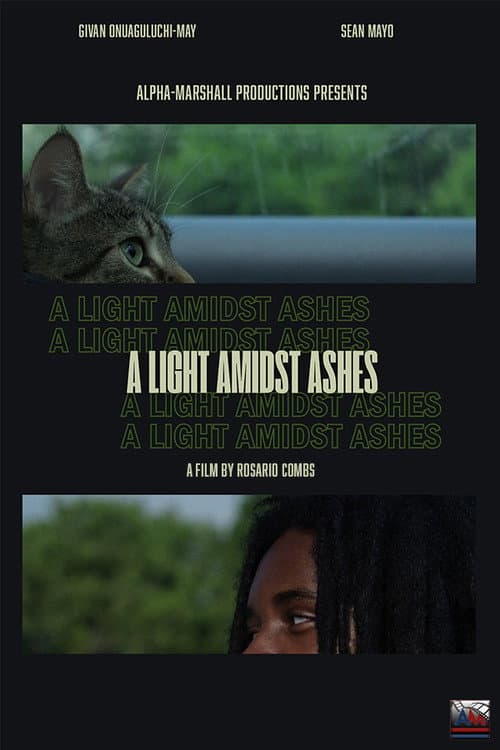 A Light Amidst Ashes