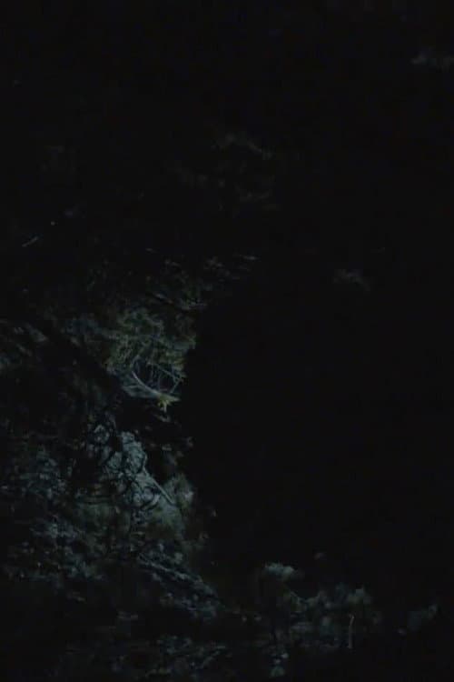 All the Planets in My Heart