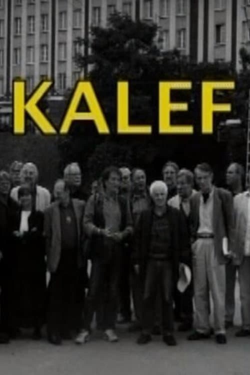 Kalef - A Moszkva téri galeri