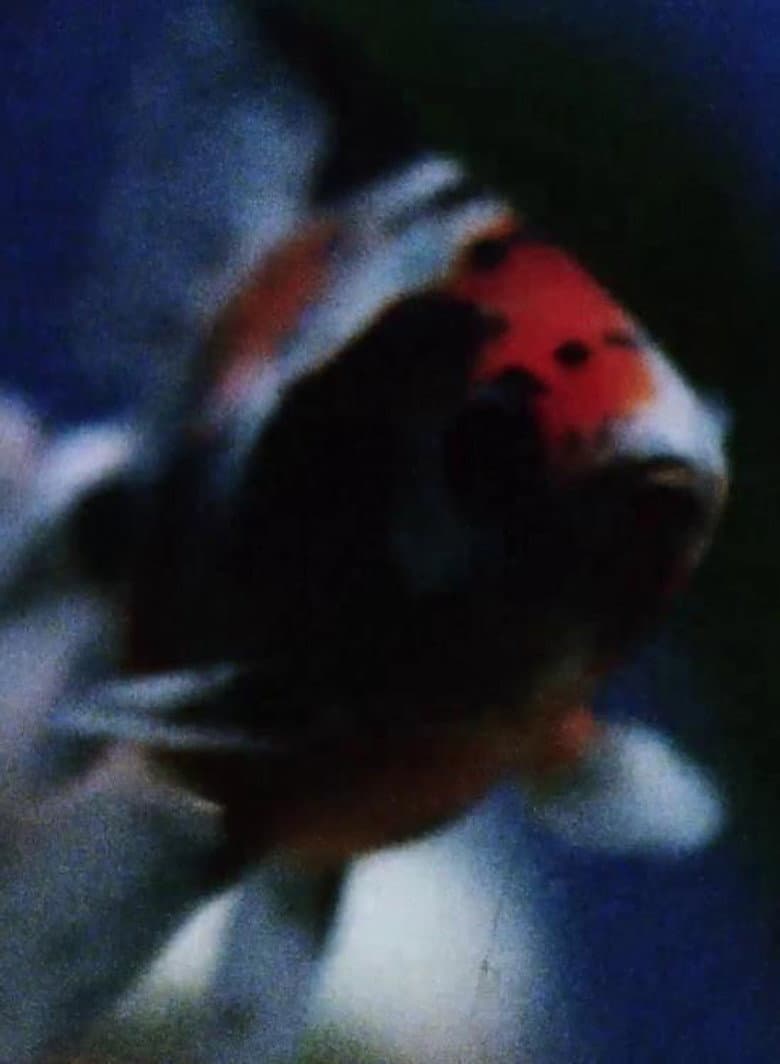 A Man Whose Life Was Full of Woe Has Been Surprised by Joy