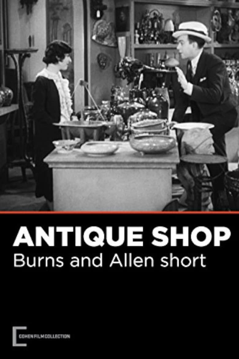 The Antique Shop