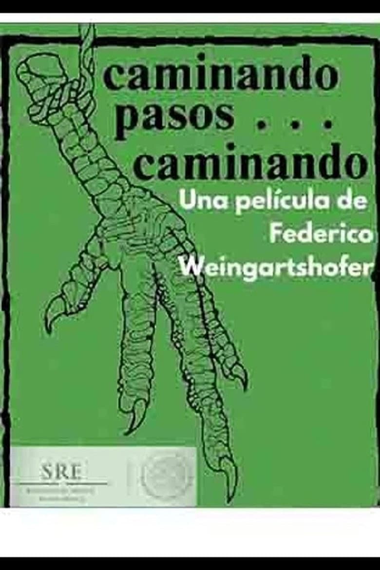 Caminando pasos... caminando