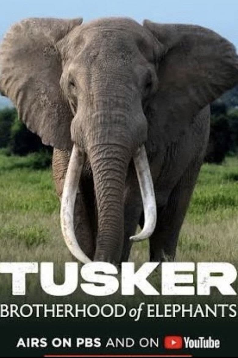 Tusker: Brotherhood of Elephants