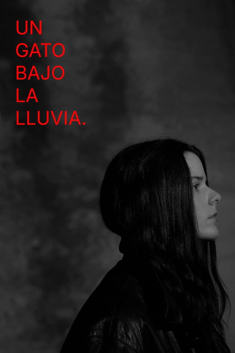 A Cat Under the Rain