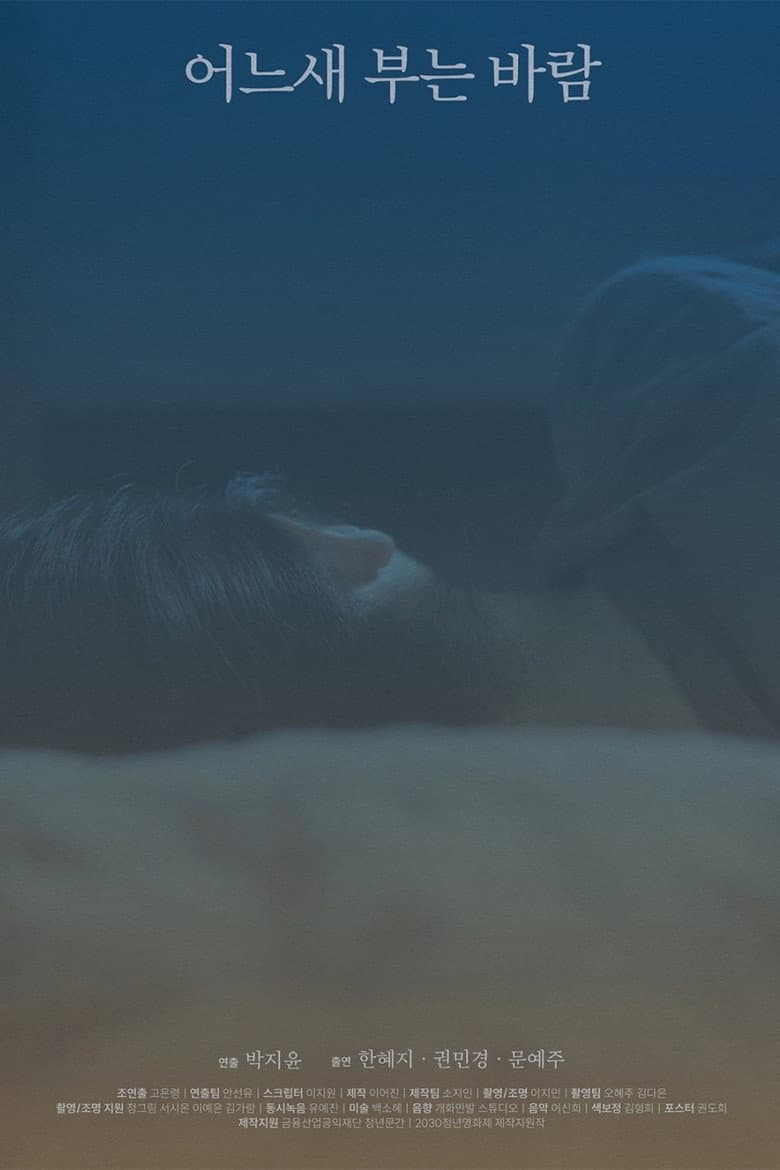 The Consolation of the Wind