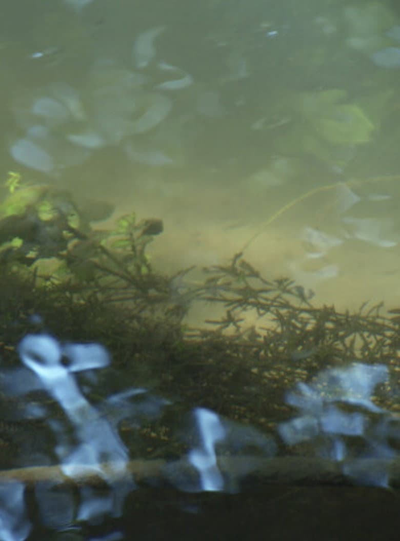 Heartbroken for Good