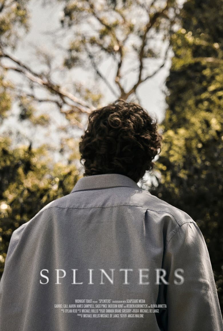 Splinters