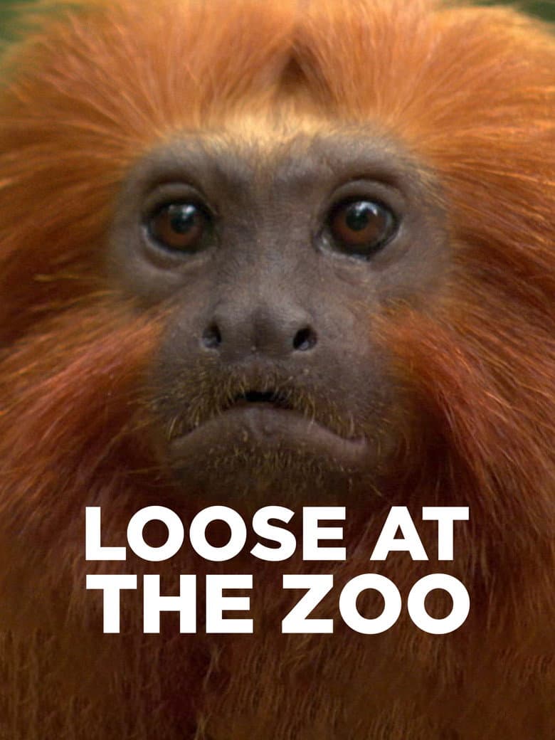 Loose at the Zoo