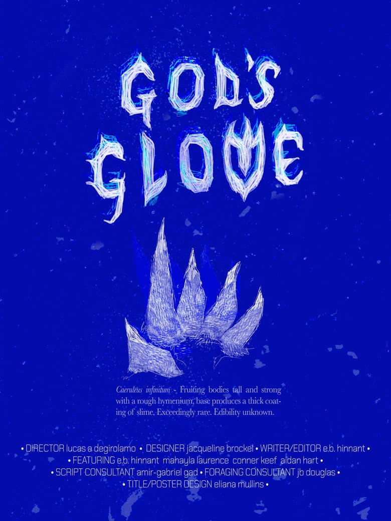 God's Glove