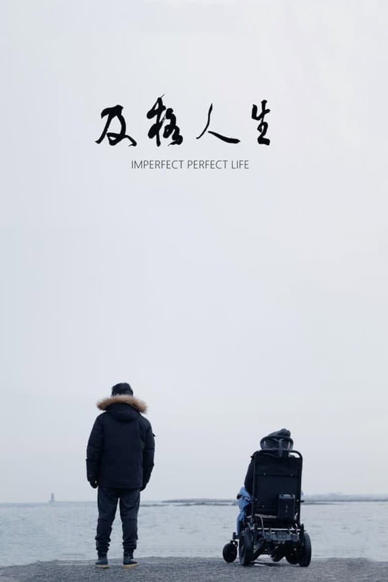 Imperfect Perfect Life