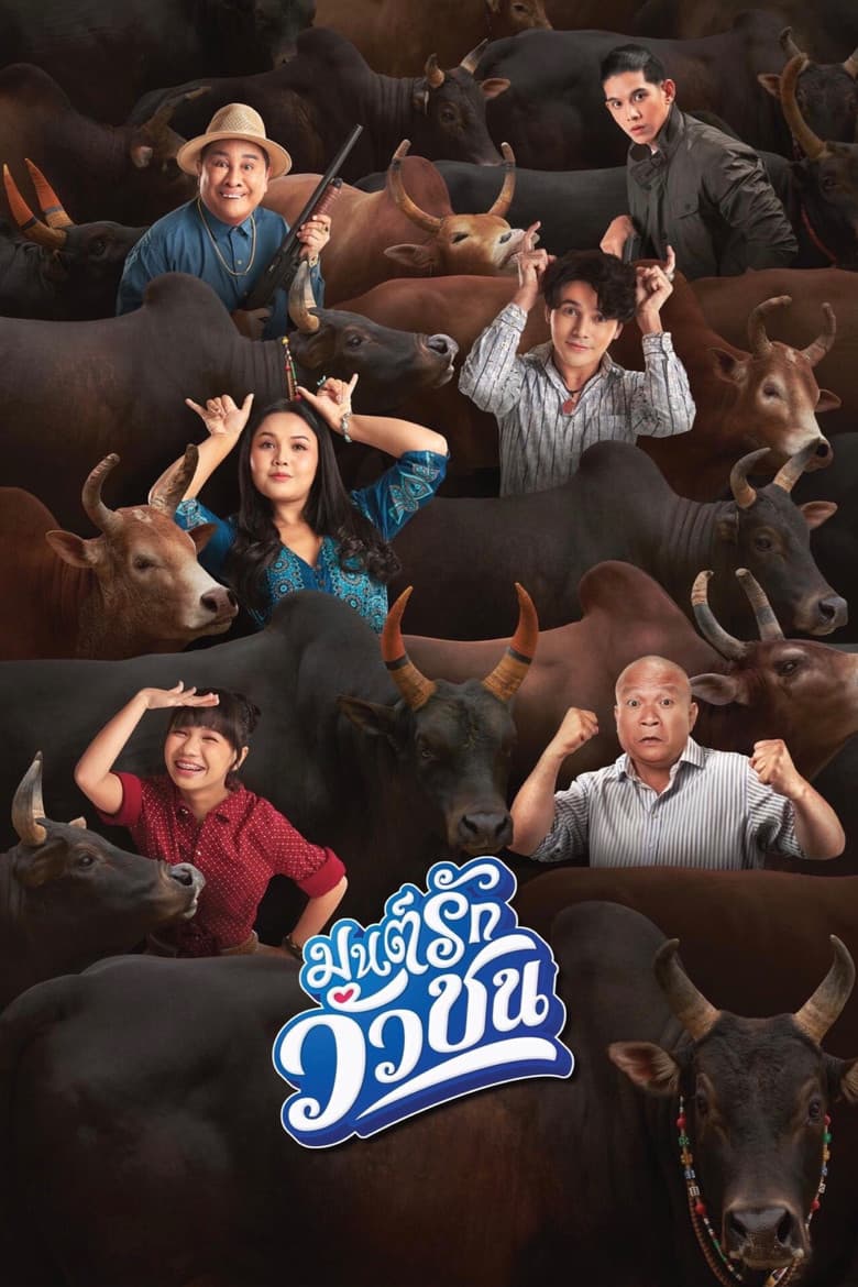 Love Battle vs Bullfighting