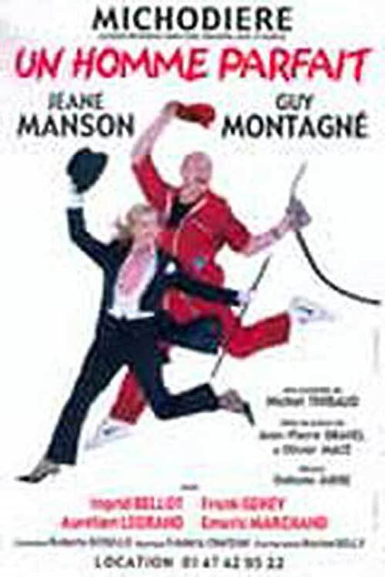 Un homme parfait