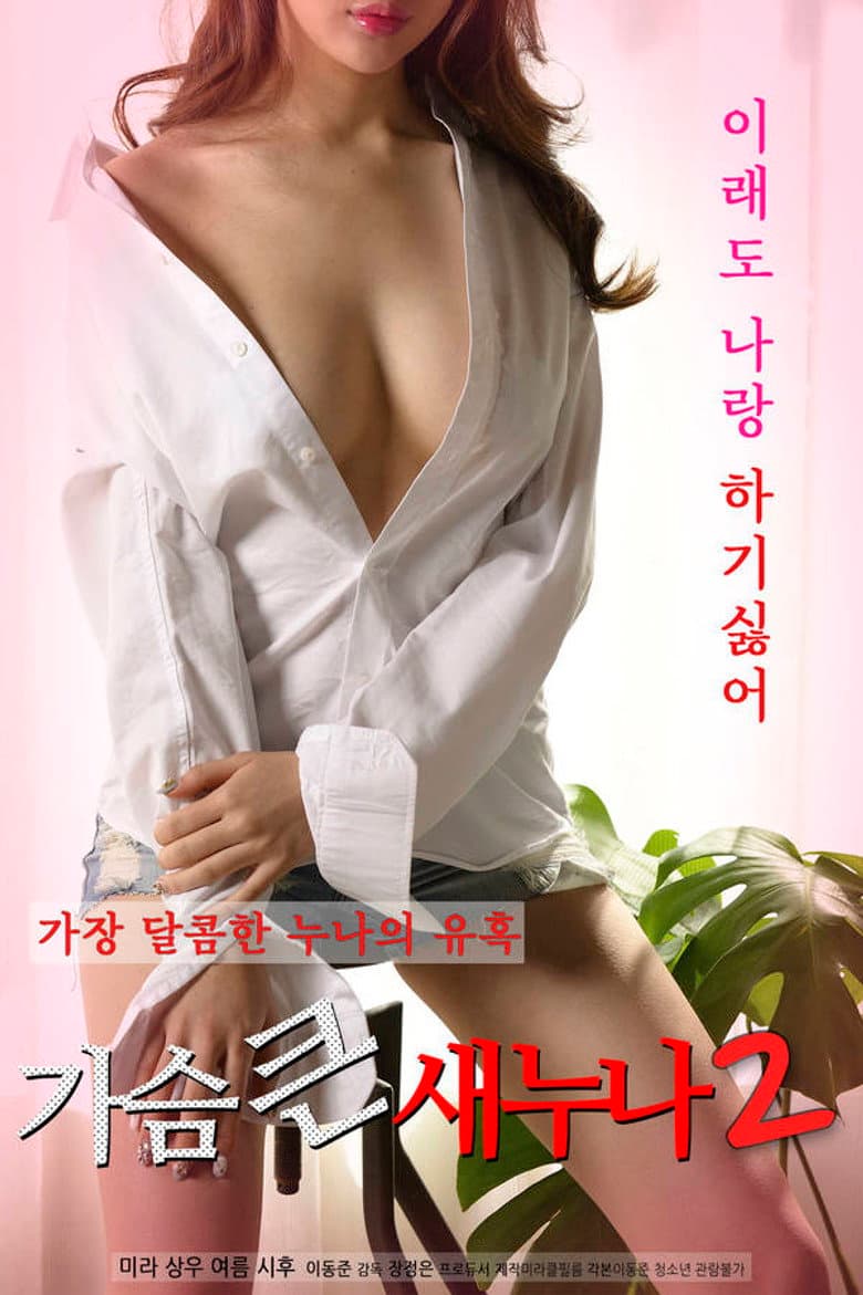 Big Breasts Sister 2