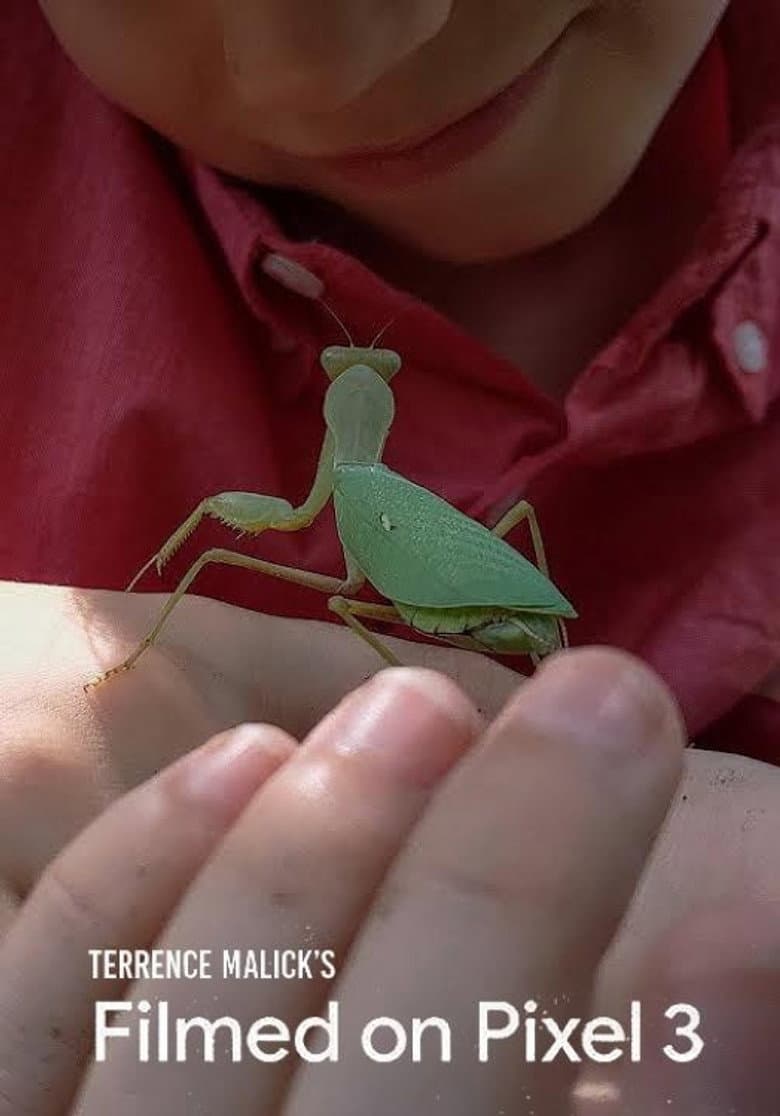 Filmed on Pixel 3