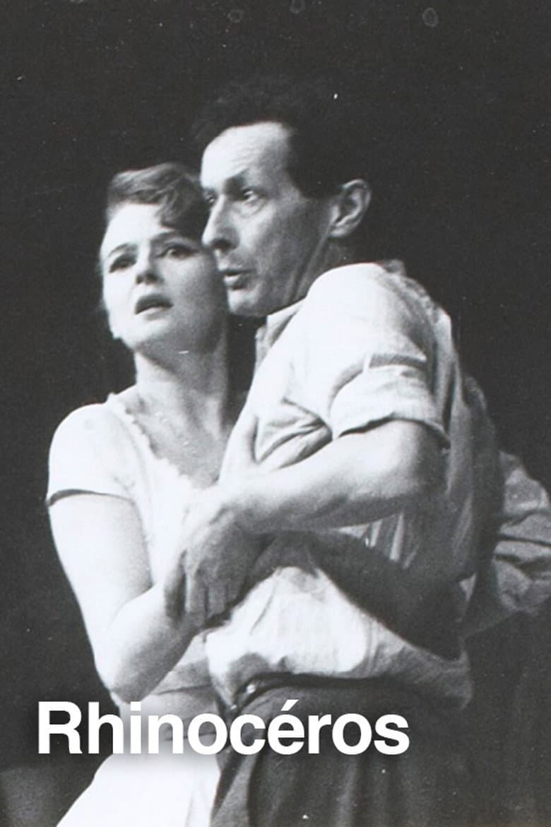 Rhinocéros