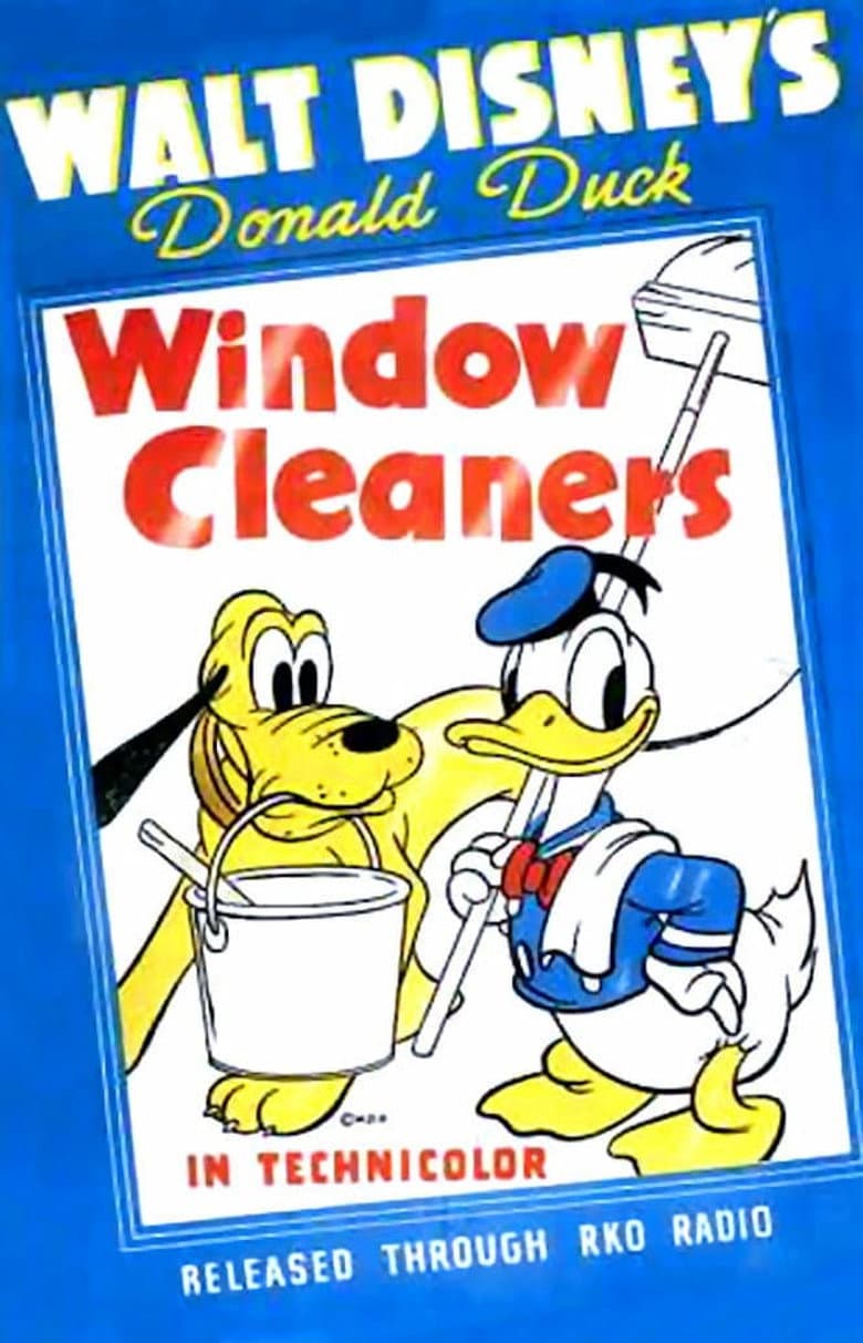 Window Cleaners