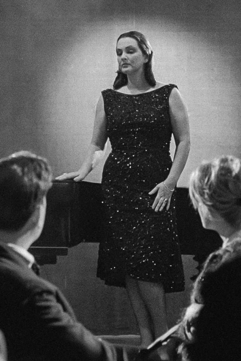 Evening at the Starlings