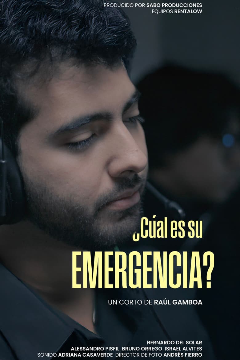 ¿Cuál es su emergencia?