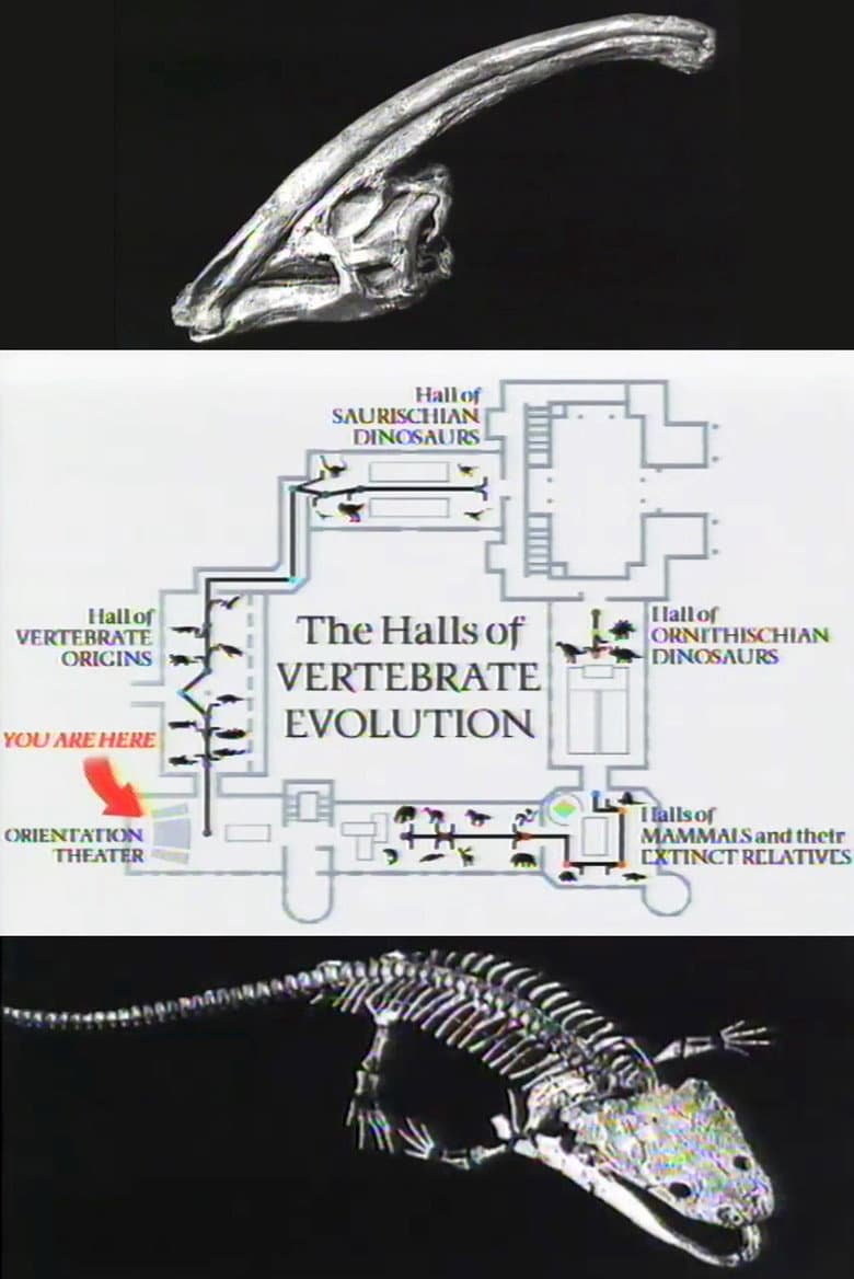 The Halls of Vertebrate Evolution