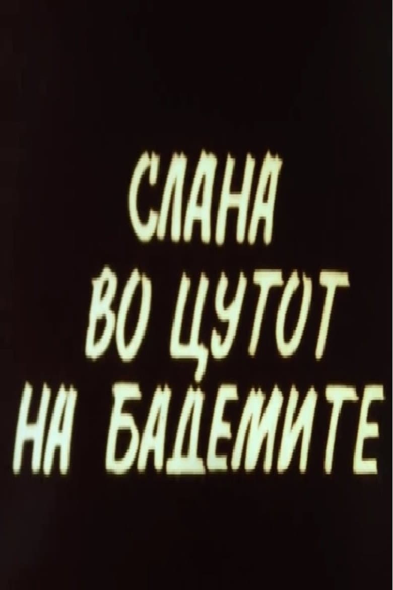 Hoar Frost at the Almond Blossoms