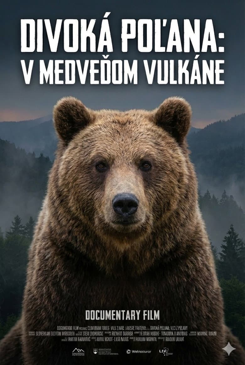 Divoká Poľana: V medveďom vulkáne