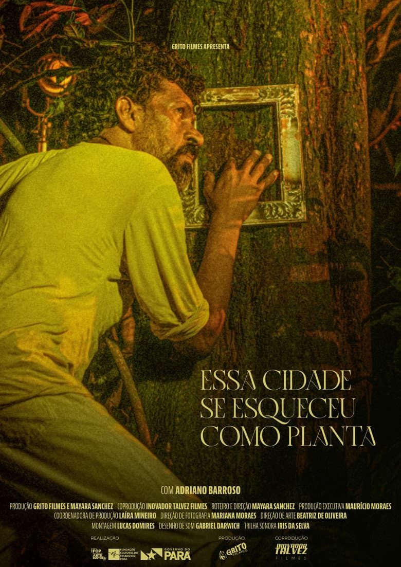 Essa Cidade Se Esqueceu Como Planta