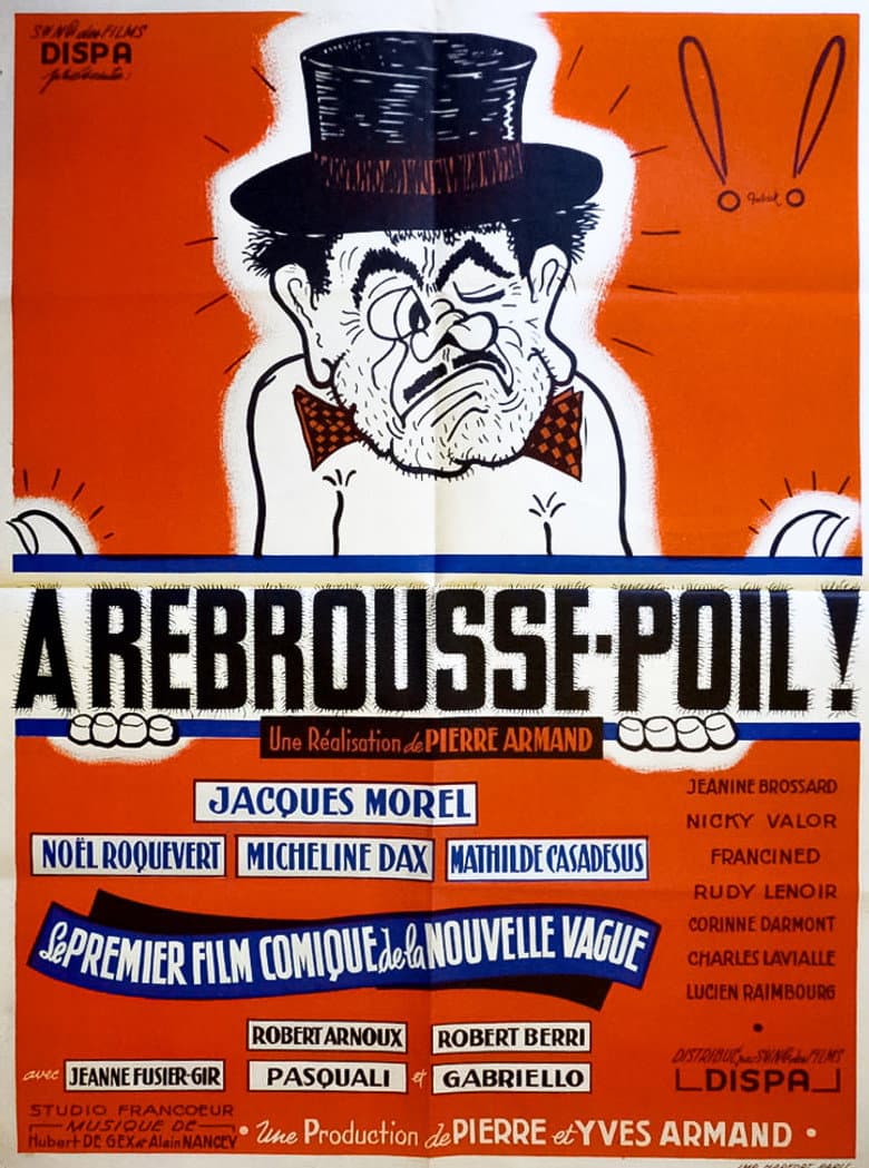 À rebrousse-poil