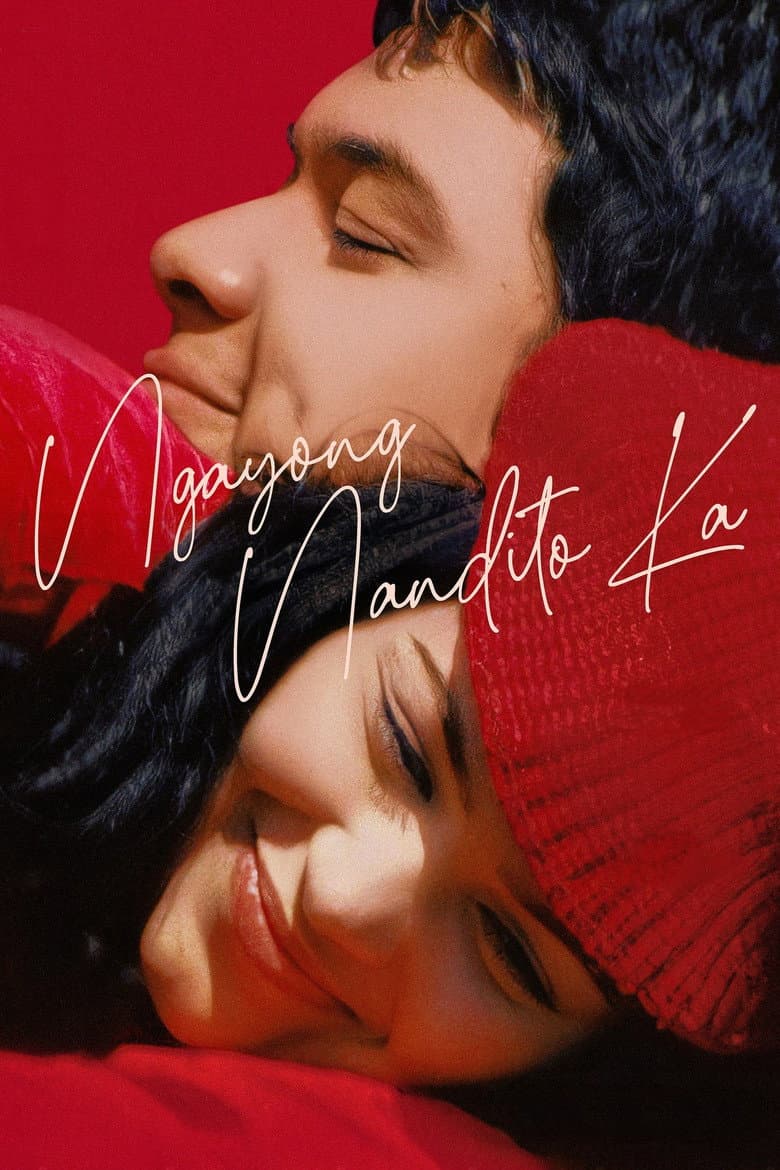 Now That You're Here