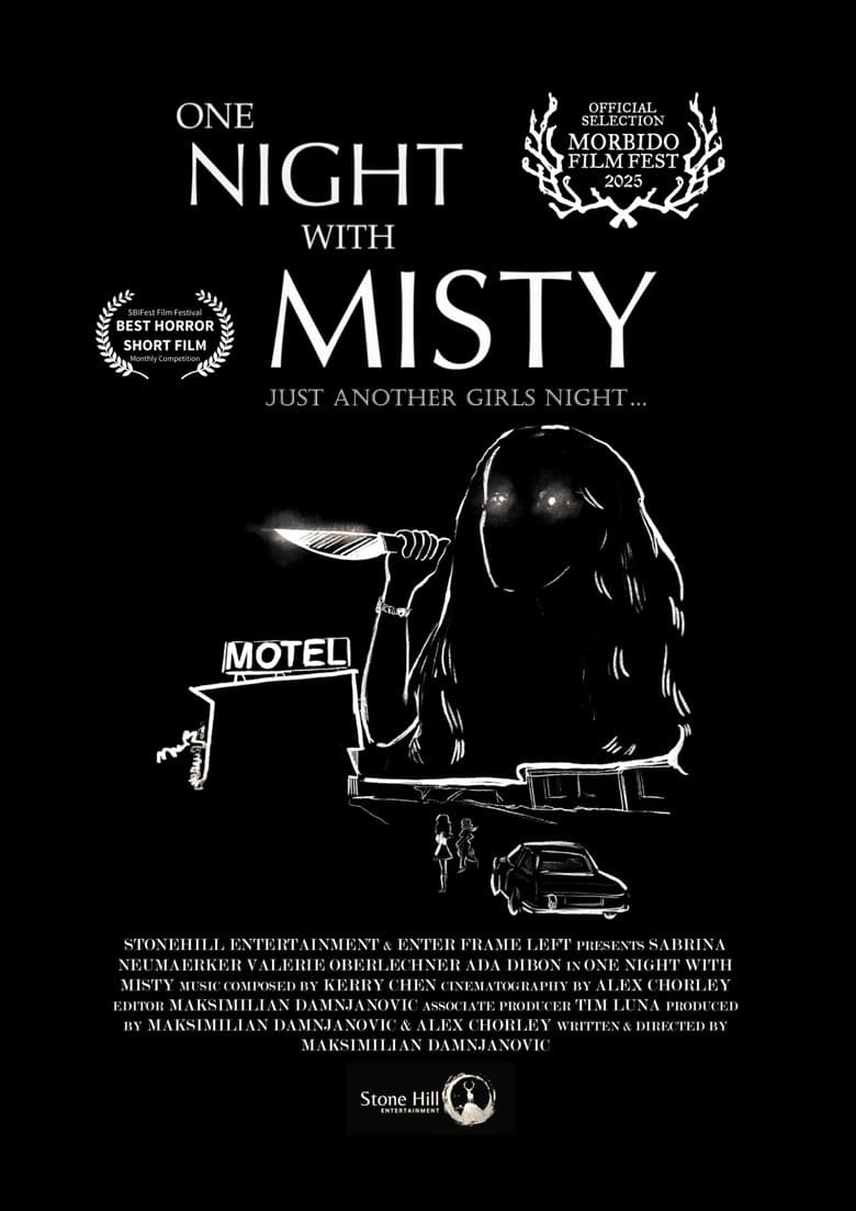 One Night with Misty