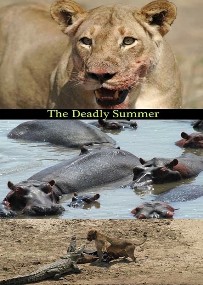 Deadly Summer