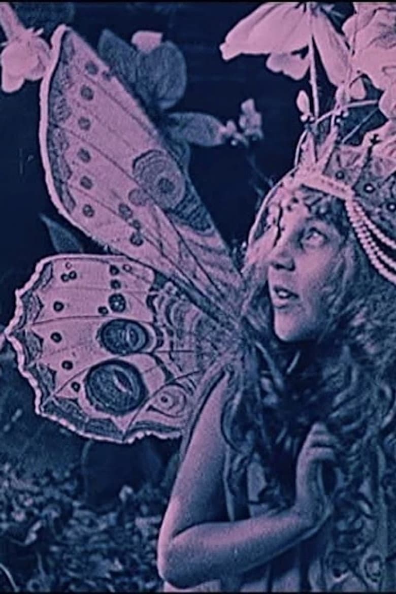 The Queen of the Butterflies