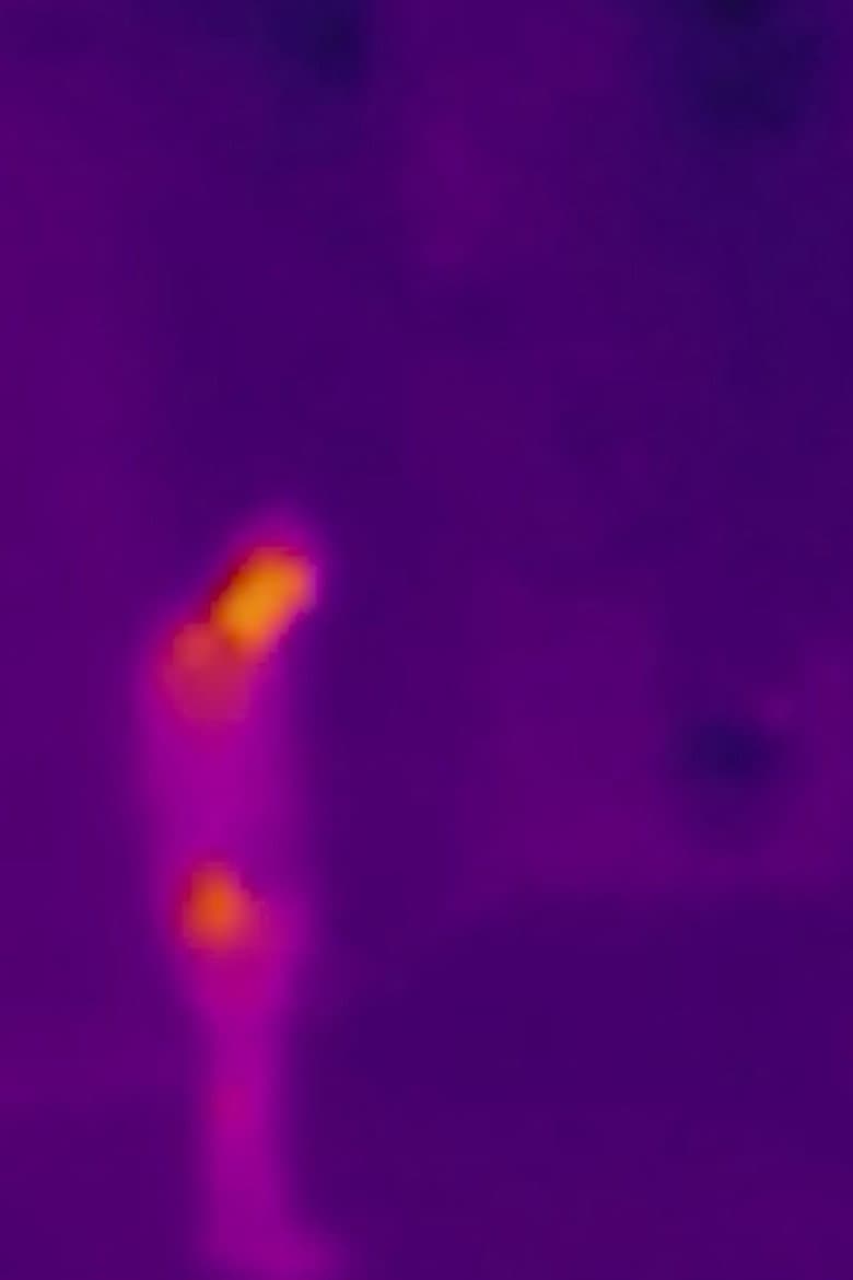 How Did I Get to Fly?